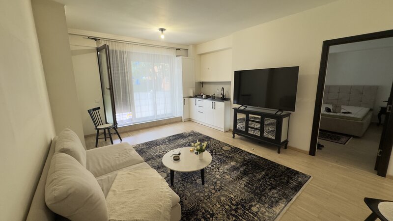 Baneasa, Aviatiei,